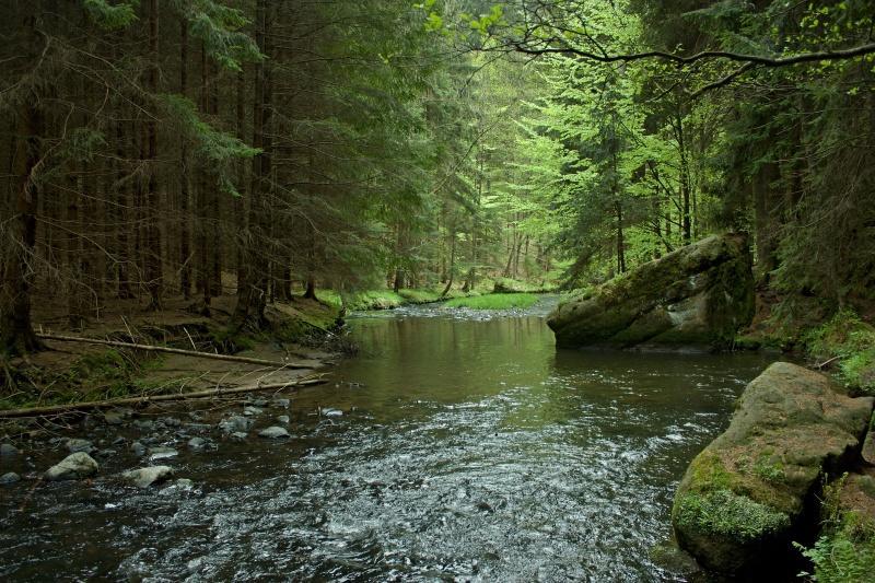 Ubytovani U Potoka Kunratice  Dış mekan fotoğraf