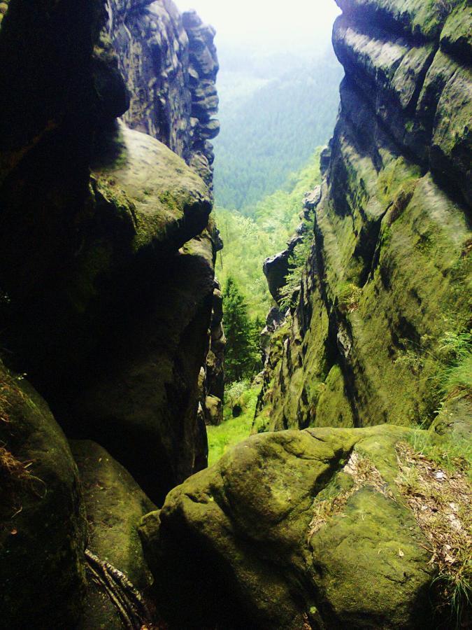 Ubytovani U Potoka Kunratice  Dış mekan fotoğraf